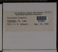 Image Associated With the Occurence
